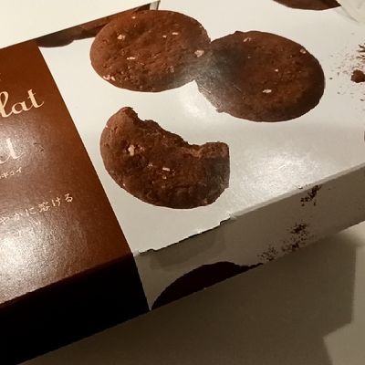 chefai107's profile picture. 二人目妊娠中🫄ママ　子育て中　超愛犬家
https://t.co/emOp35QMOl