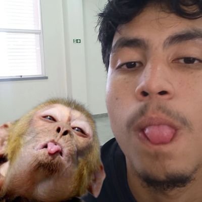 sei lá só gosto de falar coisas bestas pra um bando de estranhos