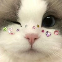 ℂ 𝕃 𝕆 𝕌 𝔻 𝕊☁️💫 (@clouds_ssssss) 's Twitter Profile
