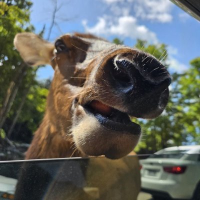 w3Kodr's profile picture. 