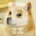 Doge2X (@doge2xtoken) Twitter profile photo Doge2X (@doge2xtoken) Twitter profile photo