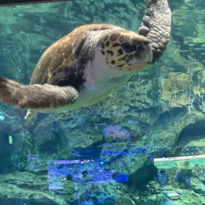 reomama2724's profile picture. 