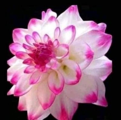 JaspreetDhingr1's profile picture. engineering student