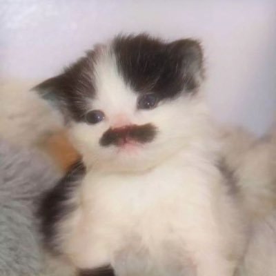 boreddd_iii's profile picture. ครับผม