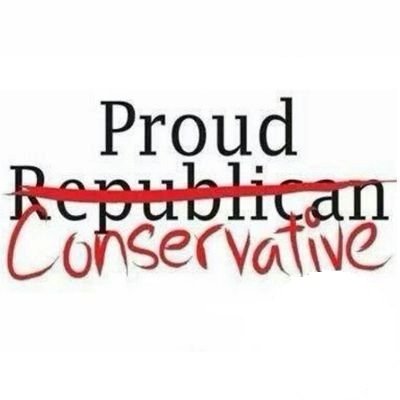Proud Constitutional Conservative!
Leftist amendments defeated! 👍👏
#RestoreOurNation 🇺🇸
#DeSantisConservative 🐊
#MakeAmericaFlorida
#PrinciplesOverParty