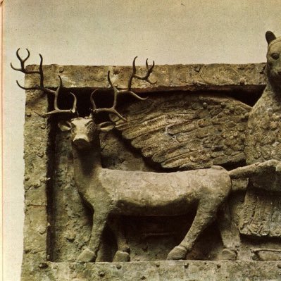 Z047926489558's profile picture. formerly E. del M.