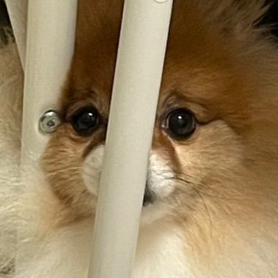 ゆめとさんのプロフィール画像
