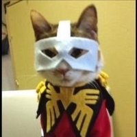 likes Mickey 18 a Normal Amount (@quorque) 's Twitter Profile Photo likes Mickey 18 a Normal Amount (@quorque) 's Twitter Profile Photo