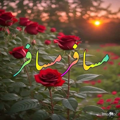 muhamma00714433's profile picture. 