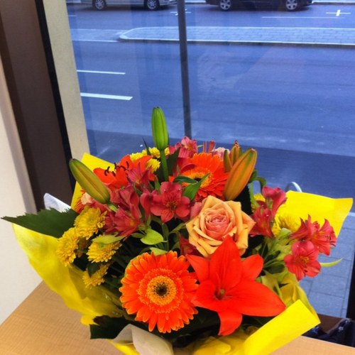 cathyhujin's profile picture. 