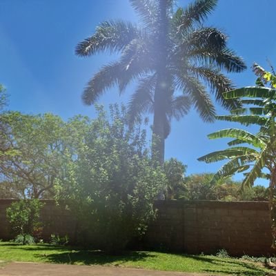 The one who is in you is greater than the one who is in the world.🌴
1 John 4:4