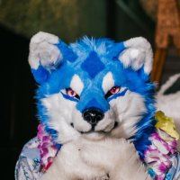IceBall (@iceballowob) 's Twitter Profile Photo IceBall (@iceballowob) 's Twitter Profile Photo
