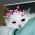 UwU Corporation (@uwucorpo) Twitter profile photo UwU Corporation (@uwucorpo) Twitter profile photo