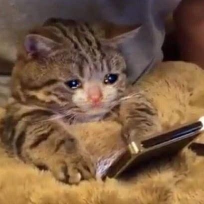 Juan_Diego_29's profile picture. Blink since 2016
23 años.
Perú 🇵🇪