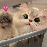 Yara ๐ (@baiwinyou) 's Twitter Profile