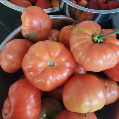 KasakoluO's profile picture. 