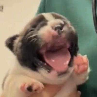 SevenConeSnails's profile picture. 