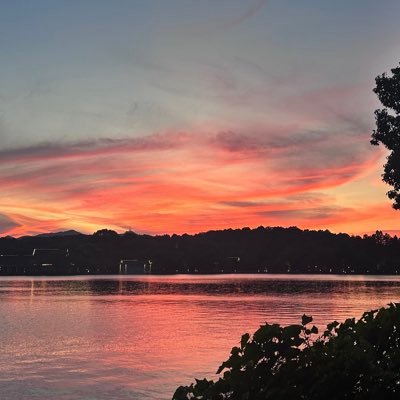 wnglyn352742958's profile picture. 