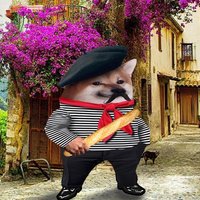 πͺπΊπ«π·πΊπ¦π¬π±πππποΈβ³ (@pmassch2) 's Twitter Profile