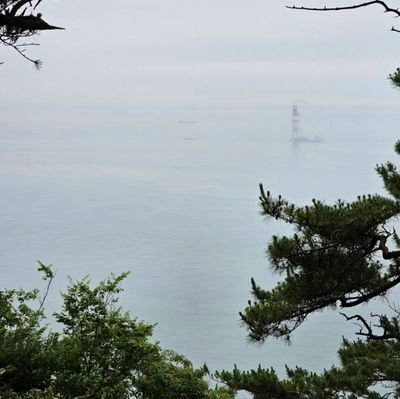 l__b__d's profile picture. A designer.
A crypto believer.