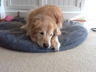 khd7760's profile picture. 