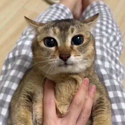 Yaanalo2's profile picture. maxime
https://t.co/SeJtTEteFo