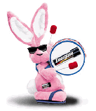 Energizer_Girl's profile picture. Never stop moving ahead! Keeping Upbeat and Hopeful. Suburban Mom now a Democrat.