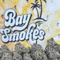 Bay Smokes Europe (@smokesbayeurope) 's Twitter Profile