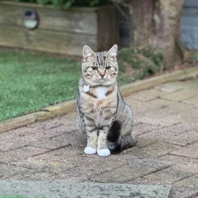 Larry_200885's profile picture. 