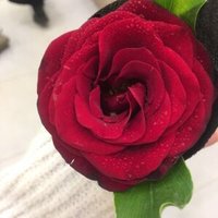أُمنية 𓂆 (@omniaanwar32882) 's Twitter Profile