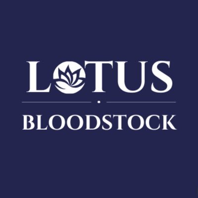 LotusBloodstock's profile picture. @benjshoare @ollybatchelor