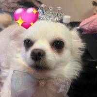 ただの一般人。 (@ie122053) 's Twitter Profile