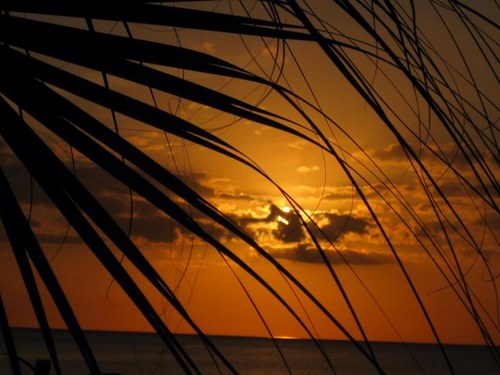 funaccents's profile picture. Looking around your home and thinking it could use a new look? Then call me or contact me on Facebook at Accentuate the Positive. Wait no longer!!