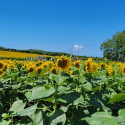 6j45dp6bux8401's profile picture. 