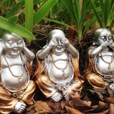 NoSponging's profile picture. 