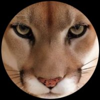 نؤدب كل قليل ادب (@klnwdb) 's Twitter Profile
