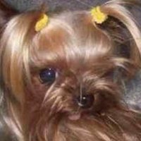 Munod (@munod63710) 's Twitter Profile