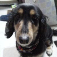 タクロー (@tkoike11) 's Twitter Profile