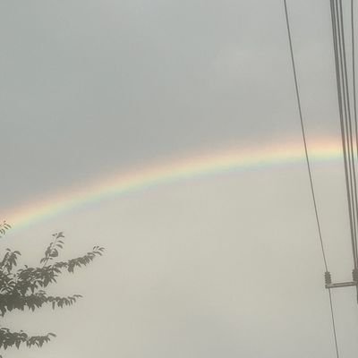 NyangNyangLasgo's profile picture. Sphaze OT6 forever!!🤍🖤💙🧡❤🧡

MULTI STAN!!! PLAVE! SPHAZE! AEONIT! PINKVERSE! AFOTS!