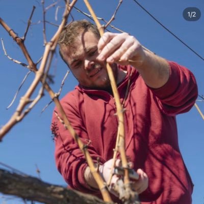 Pagès de Bellmunt del Priorat. Entre vinyes i oliveres . Visca la terra, mori el mal govern. @uniopagesos @jovespagesos