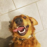 Beth Bachmore (@bethbatch6) 's Twitter Profile