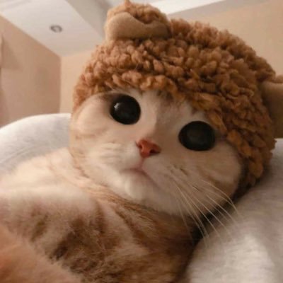 ffiinn1001's profile picture. 