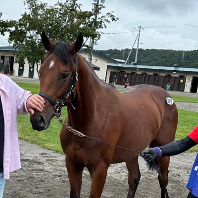 puyol5jpjp's profile picture. 武井です。地方競馬で馬主をしてます！ 東京都馬主会。競馬関係者の方、馬好きの方、是非仲良くしてください！ 鈴木啓之厩舎信者です。よろしくお願いします。自己所有・ディアシンバ・ウィルシャー2024 ・キョウエイアロマ2024共に大井・鈴木厩舎