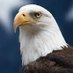 American First🇺🇲 (@americanfi14576) Twitter profile photo American First🇺🇲 (@americanfi14576) Twitter profile photo