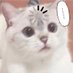 p.t (@pt32487251553) Twitter profile photo p.t (@pt32487251553) Twitter profile photo