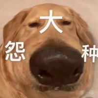 大冤种 | MEME KING (@btcdyz) 's Twitter Profile Photo 大冤种 | MEME KING (@btcdyz) 's Twitter Profile Photo