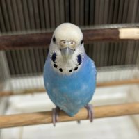やっくん (@yasutaka_mino) 's Twitter Profile