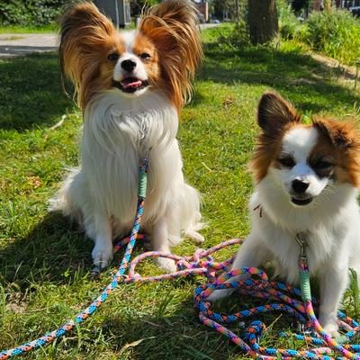 miepievk's profile picture. de gekste hond, die heb ik.