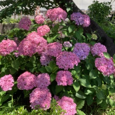 cookies5036's profile picture. 76期/学士/絵画と旅行と漫画が好きです。無言フォロー失礼します