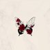 Munaโ (@x97il1) Twitter profile photo Munaโ (@x97il1) Twitter profile photo